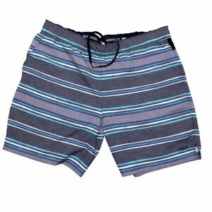 Speedo Men’s Striped Swim Trunks Board Shorts Gray Blue